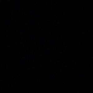 Meet your Posher, Tori